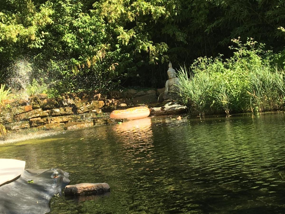 Desir'Oom Bed and Breakfast Cabannes Εξωτερικό φωτογραφία